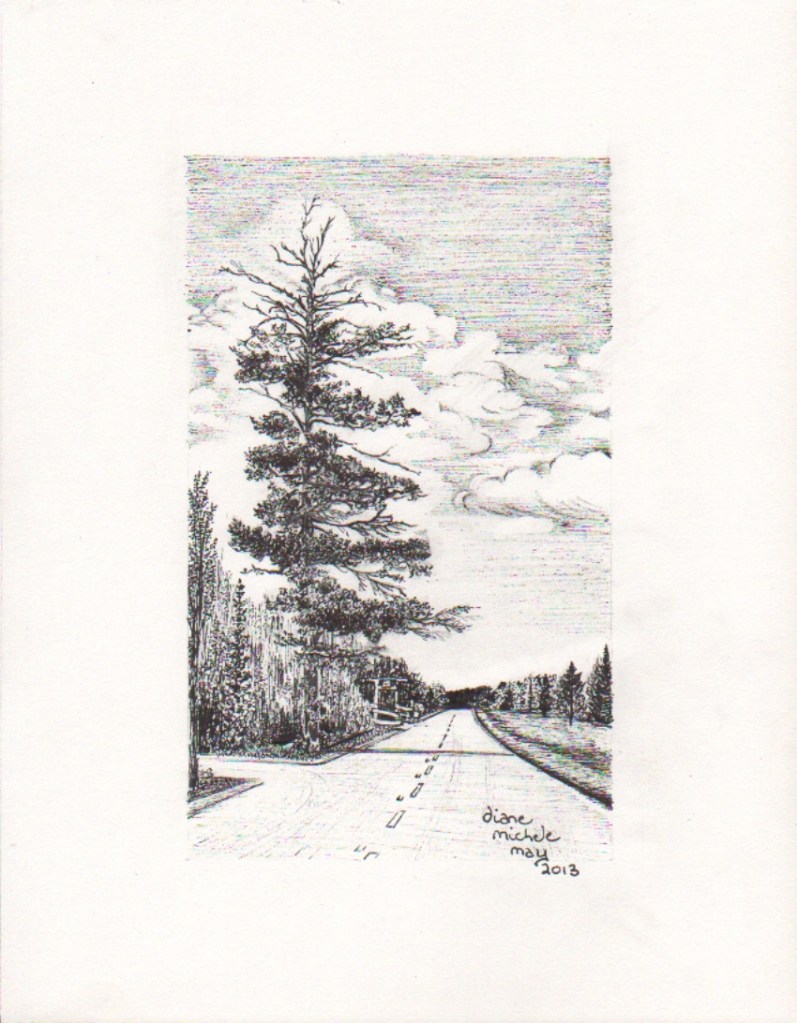 FPYC sketch 2013, 100 res