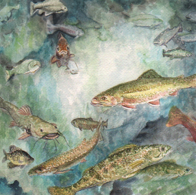 I see Fish Swimming.