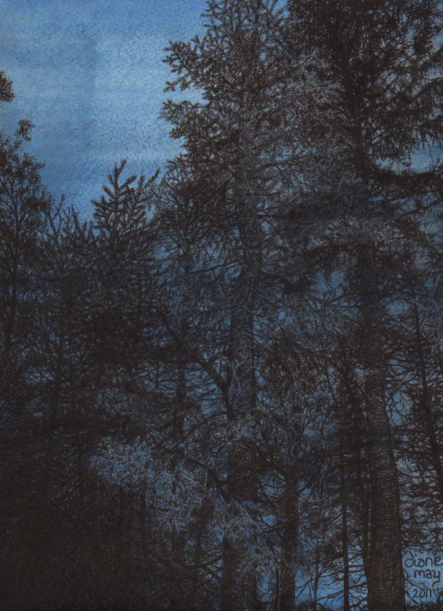 Nightfall Minnesota, 24bit, 100res